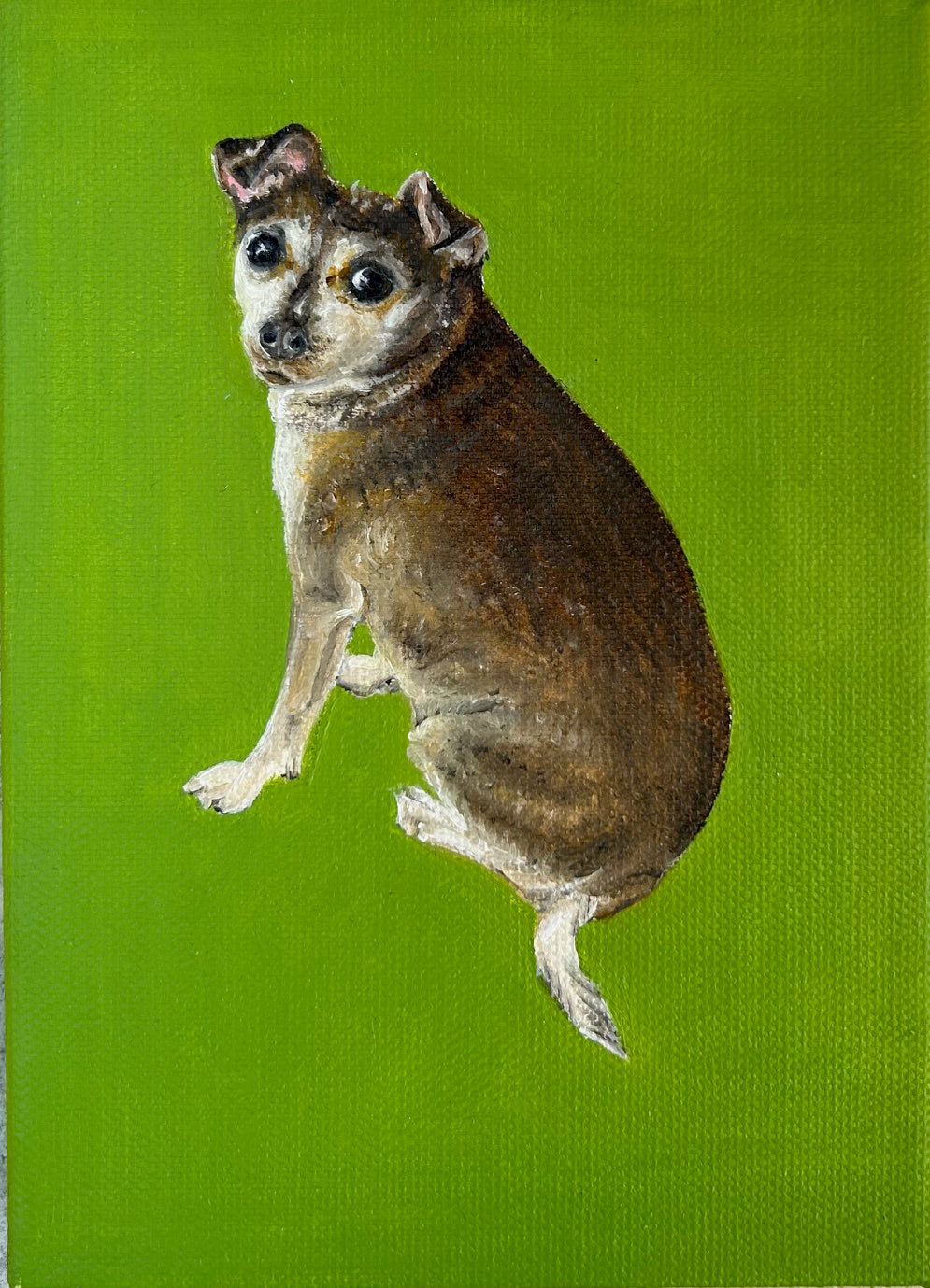 Commissioned Pet Portrait